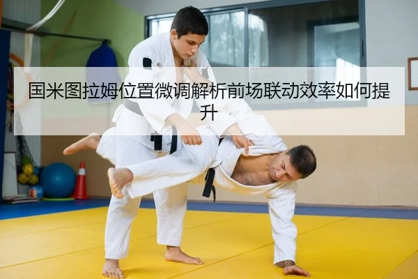 国米图拉姆位置微调解析前场联动效率如何提升