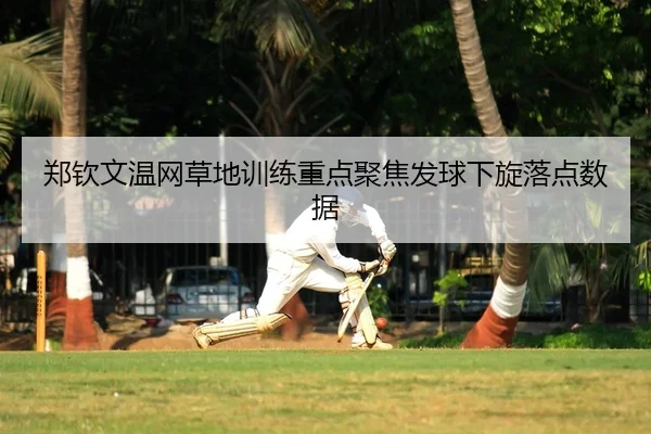 郑钦文温网草地训练重点聚焦发球下旋落点数据